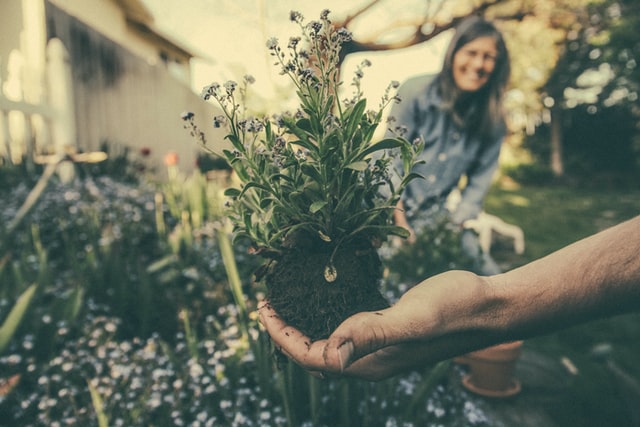 improving property’s curb appeal